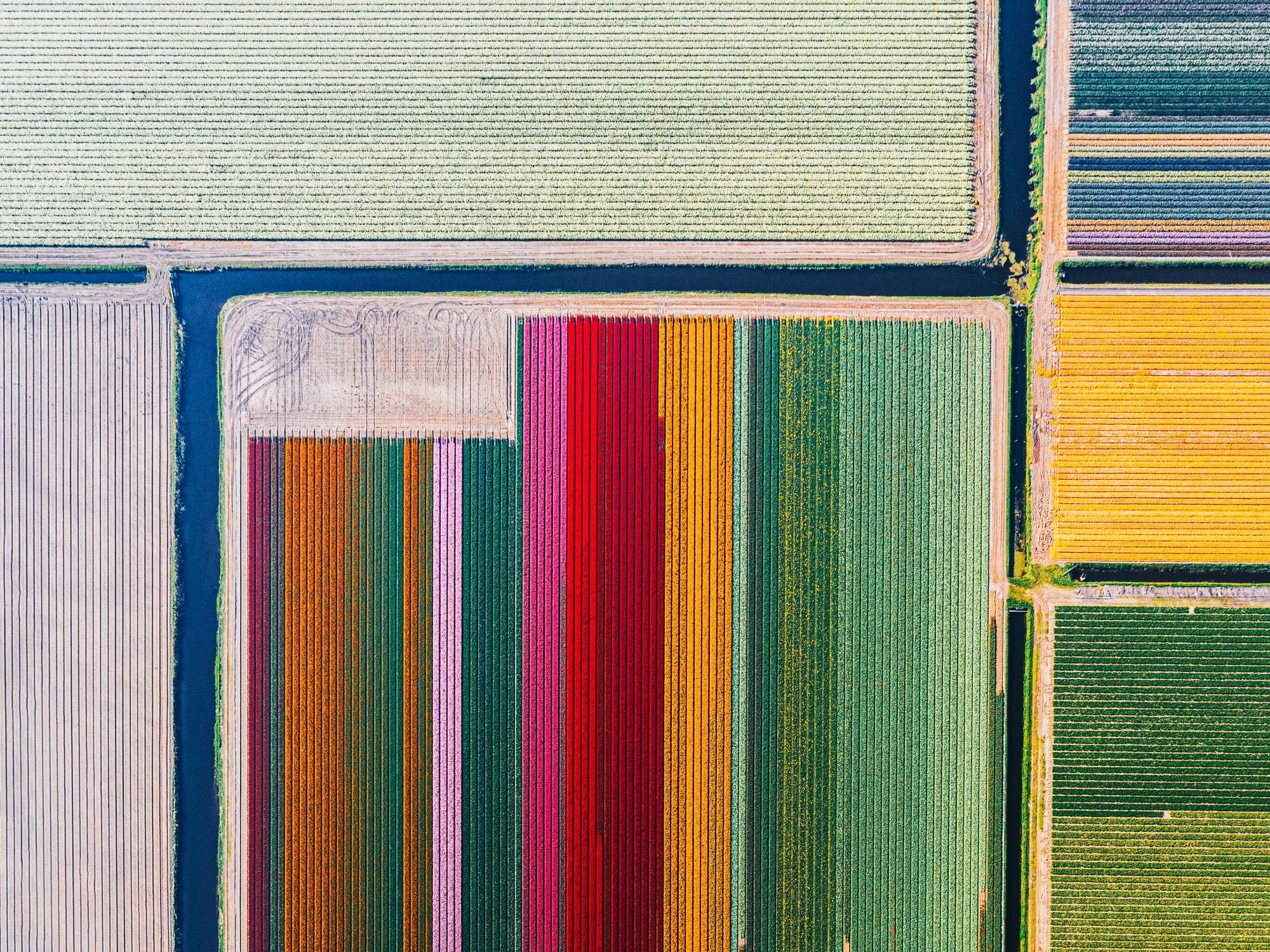 Colorful fields from above
